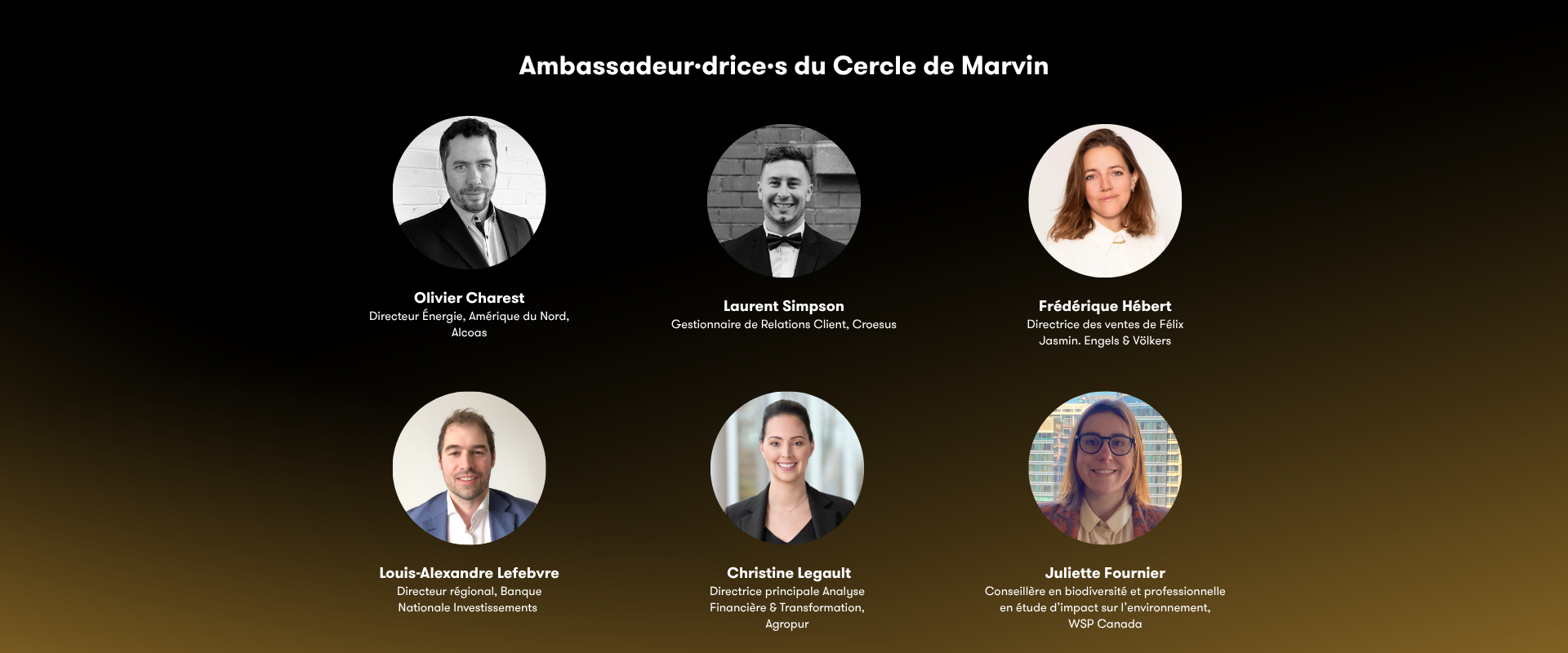Ambassadeurs Cercle de MarvinFR.png